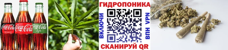 блэк спрут ССЫЛКА  Свирск  Canna-Cookies марихуана 