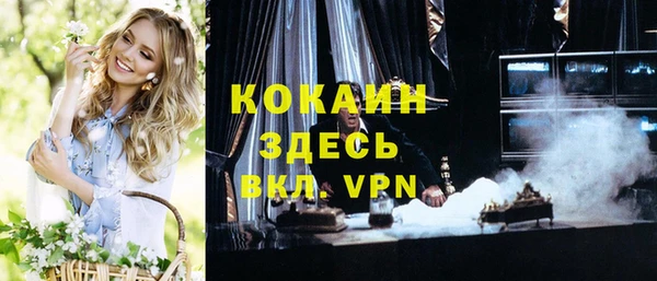 прущая мука Арсеньев