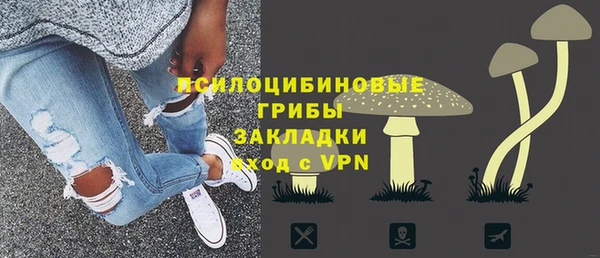 прущая мука Арсеньев