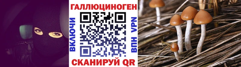 Галлюциногенные грибы MAGIC MUSHROOMS  где купить наркотик  Свирск 